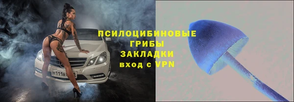 стаф Абдулино