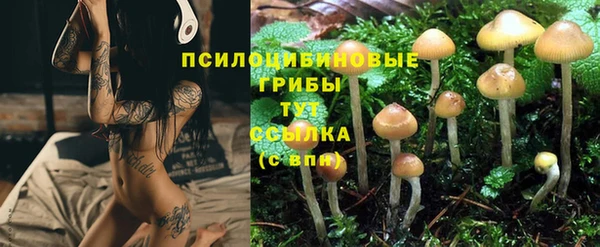 ECSTASY Протвино